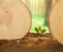 新生奇才:巴黎圣日耳曼斩落里昂 新生奇才:巴黎圣日耳曼斩落里昂