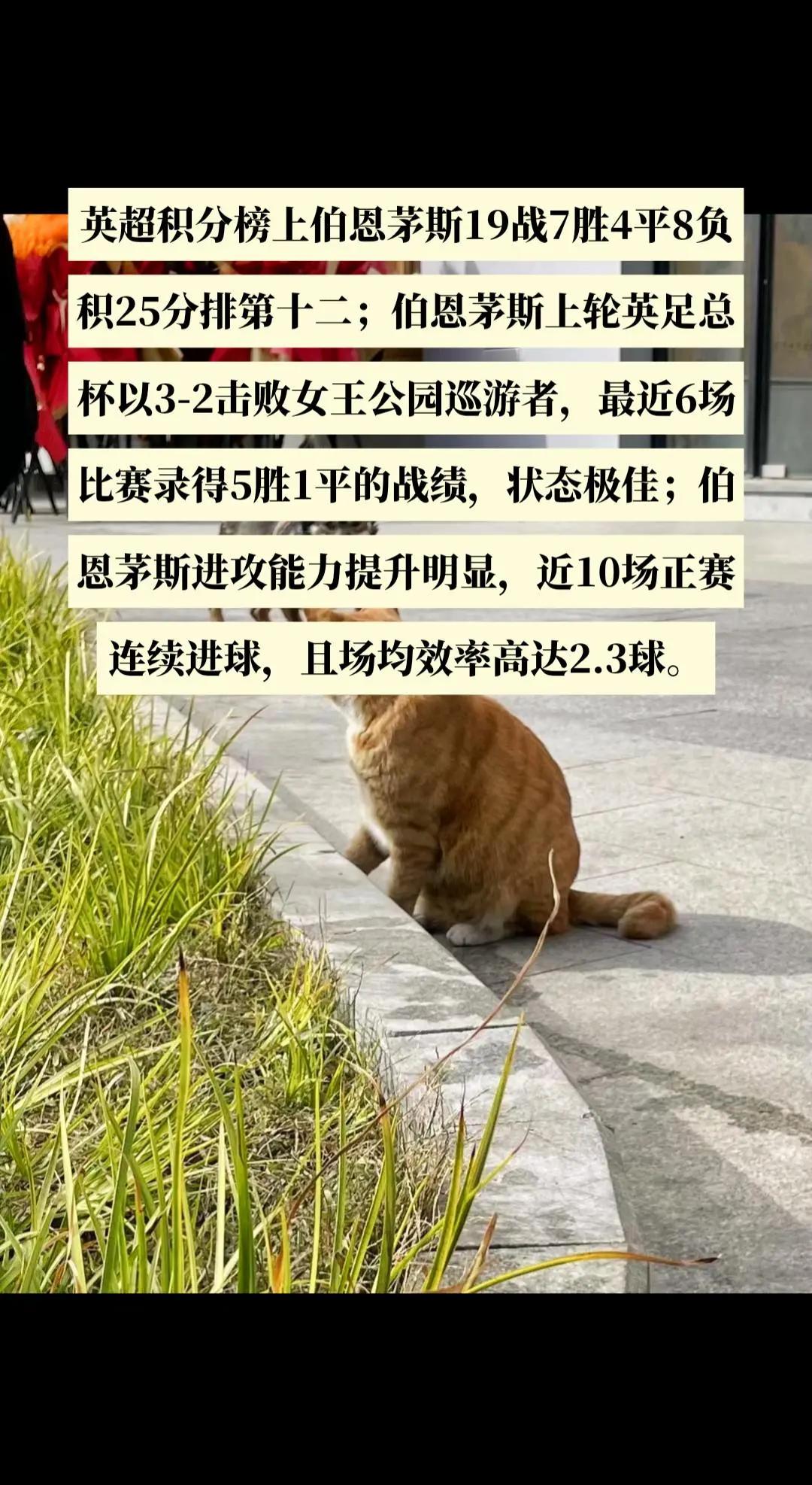 三亿体育体育网站-伯恩茅斯客场大胜，积分榜直线上升的简单介绍