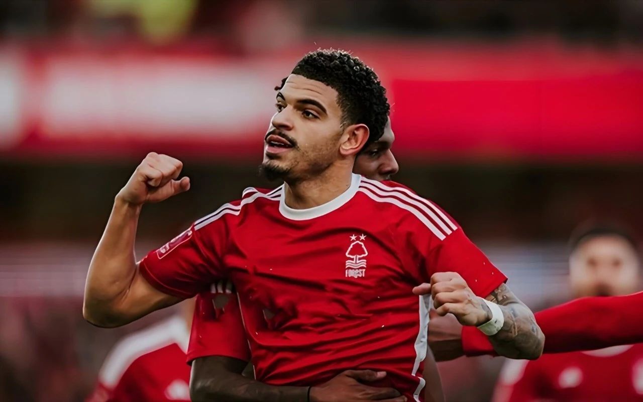 关于南安普顿客场取胜，迎来联赛新一轮胜利的信息