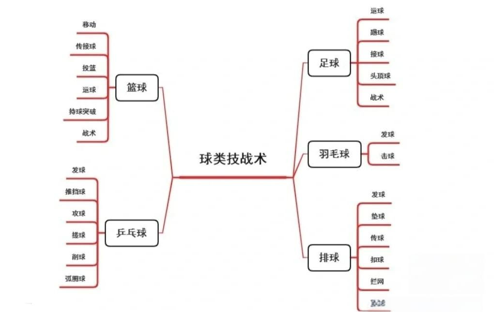 战术布置得当，球队成功击败对手的简单介绍